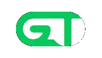 GAS ION TECHNOLOGY INC.